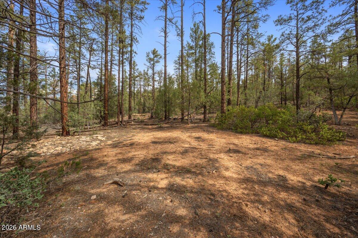 TBD Pine Needle Drive -, Show Low, AZ 85901
