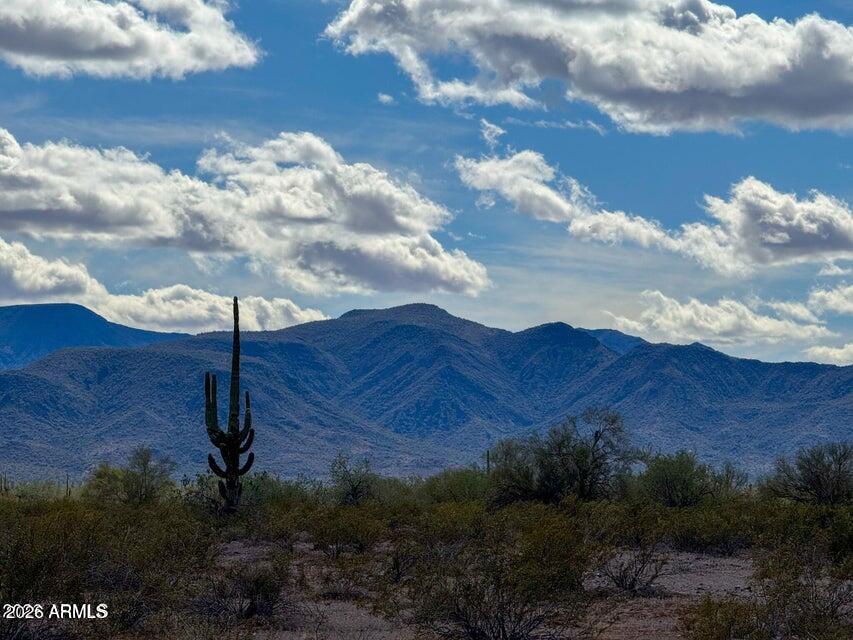 0 E Almendra Rd Lot E 1.67 Acres -, Maricopa, AZ 85139