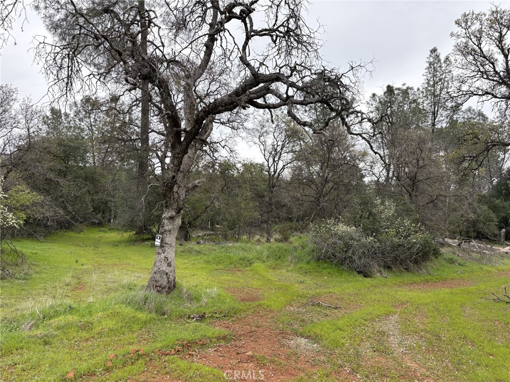 0 Highlands Boulevard
