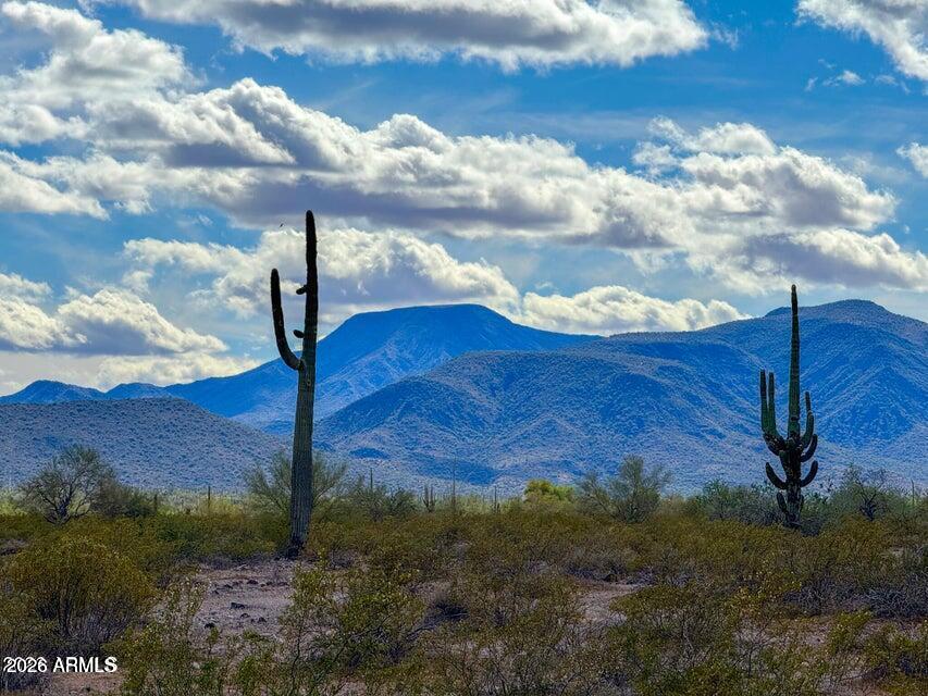 0 E Almendra Rd Lot D 1.67 Acres -, Maricopa, AZ 85139