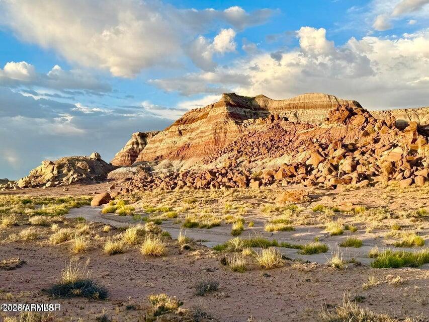 8983 Down Under Rd 38.82 Acres -, Holbrook, AZ 86025