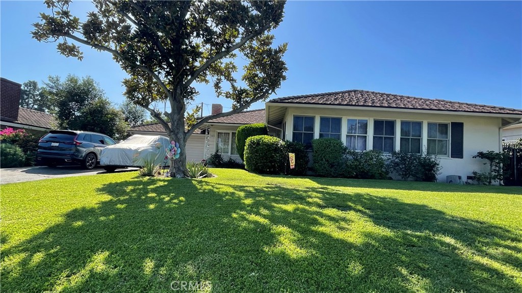 1385 Belhaven