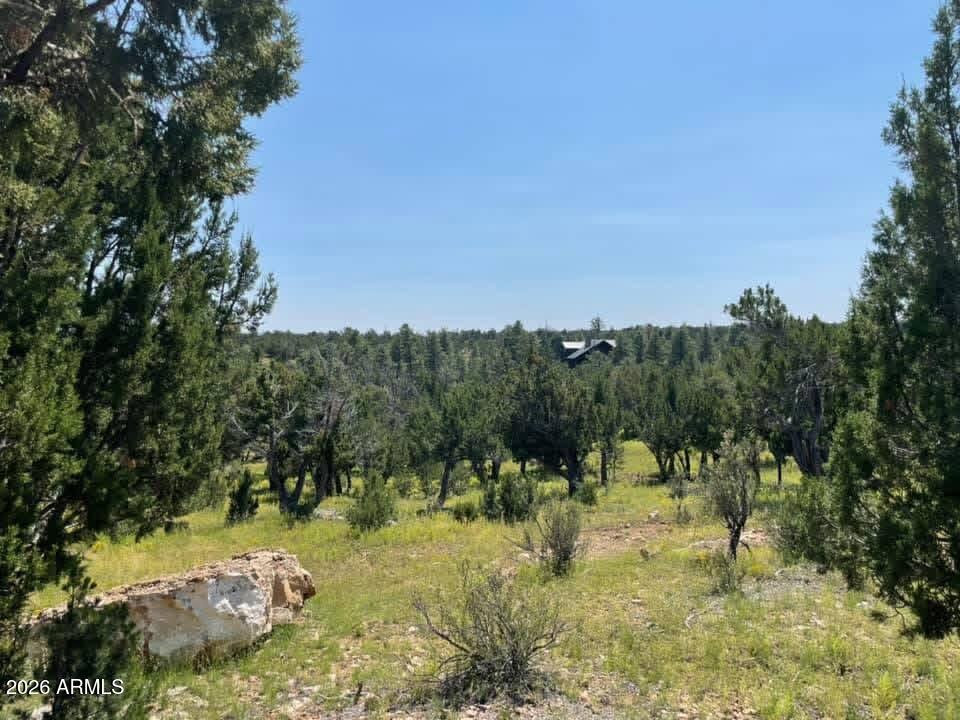 4367 Sunset Ridge Loop 178, Happy Jack, AZ 86024