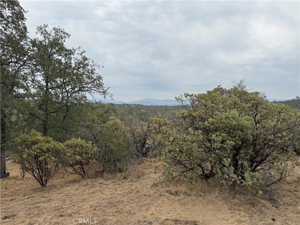 0 39.77 AC Flying O Ranch Rd.