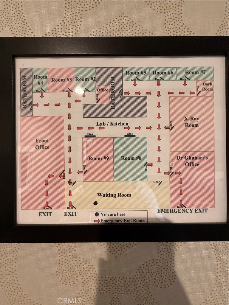 421 E Angeleno 102