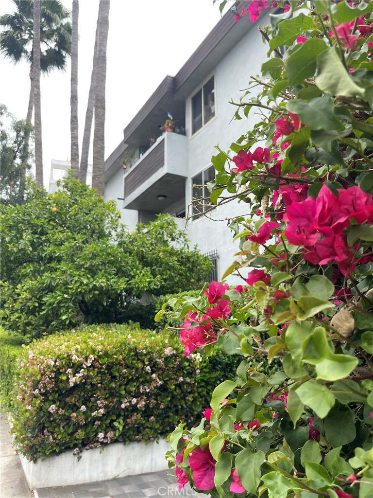1124 N La Cienega Boulevard 202