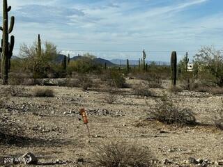 0x W Momoli Road W 20, Maricopa, AZ 85139