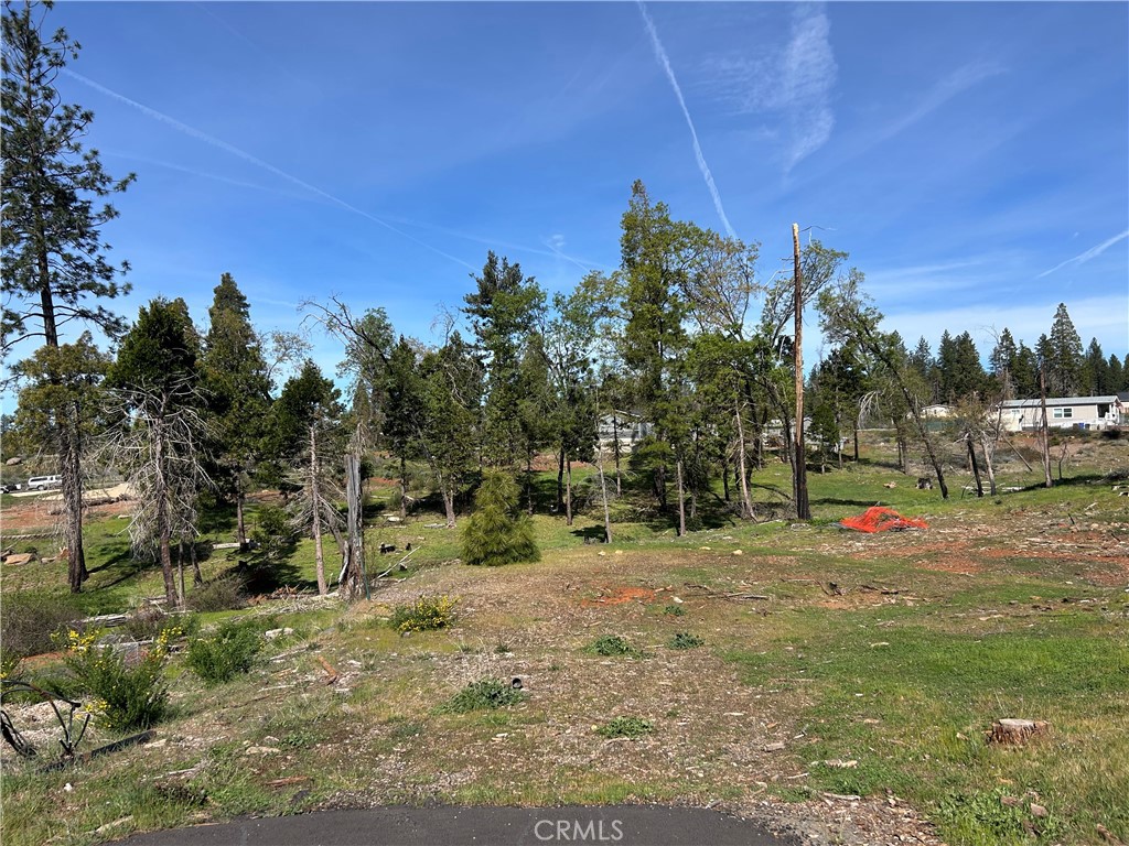 13664 Fritz Court