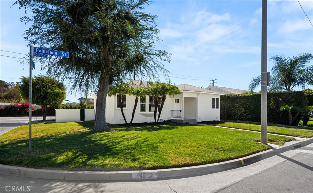 10538 Poinciana