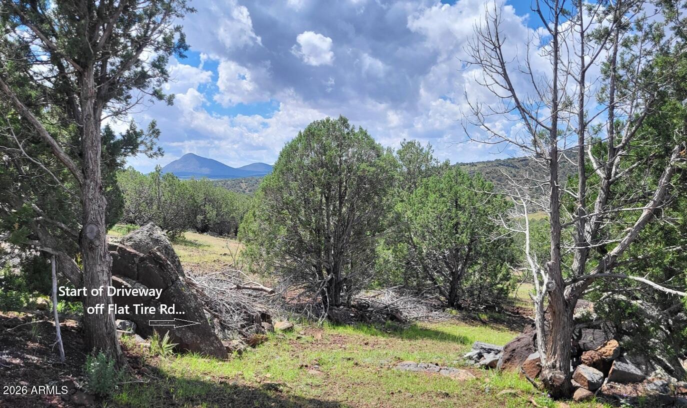 1017 S Flat Tire Road 1017, Williams, AZ 86046