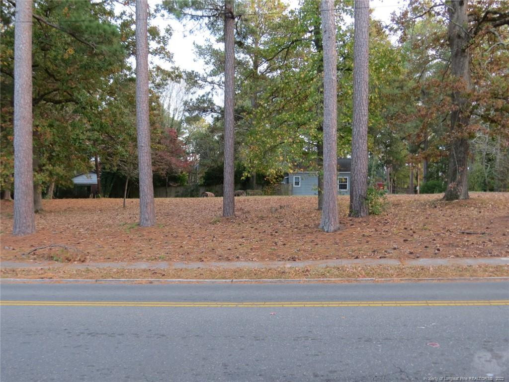 0 N Gulf Street, Sanford, NC 27330