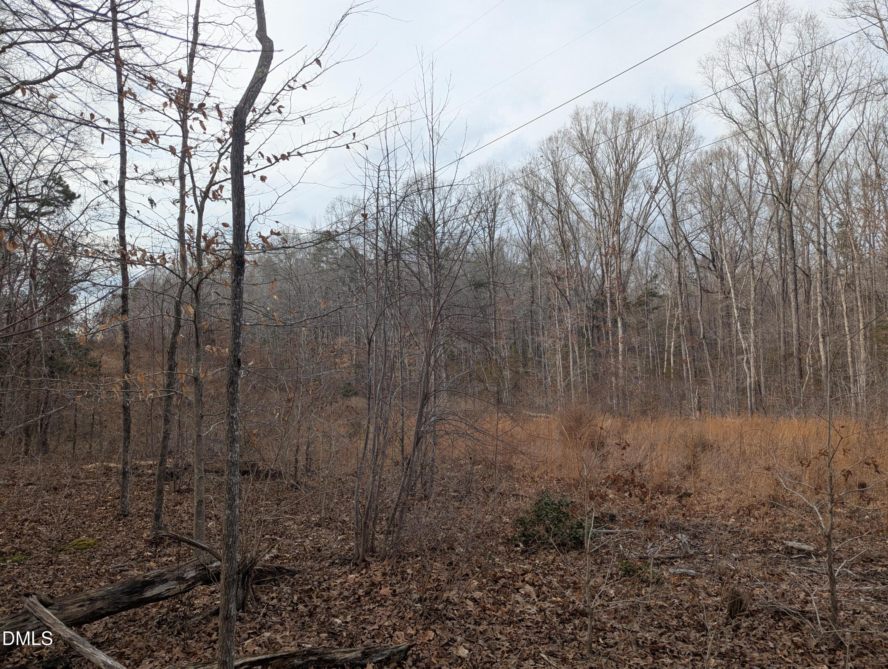 0 Dirgie Mine Road, Roxboro, NC 27574