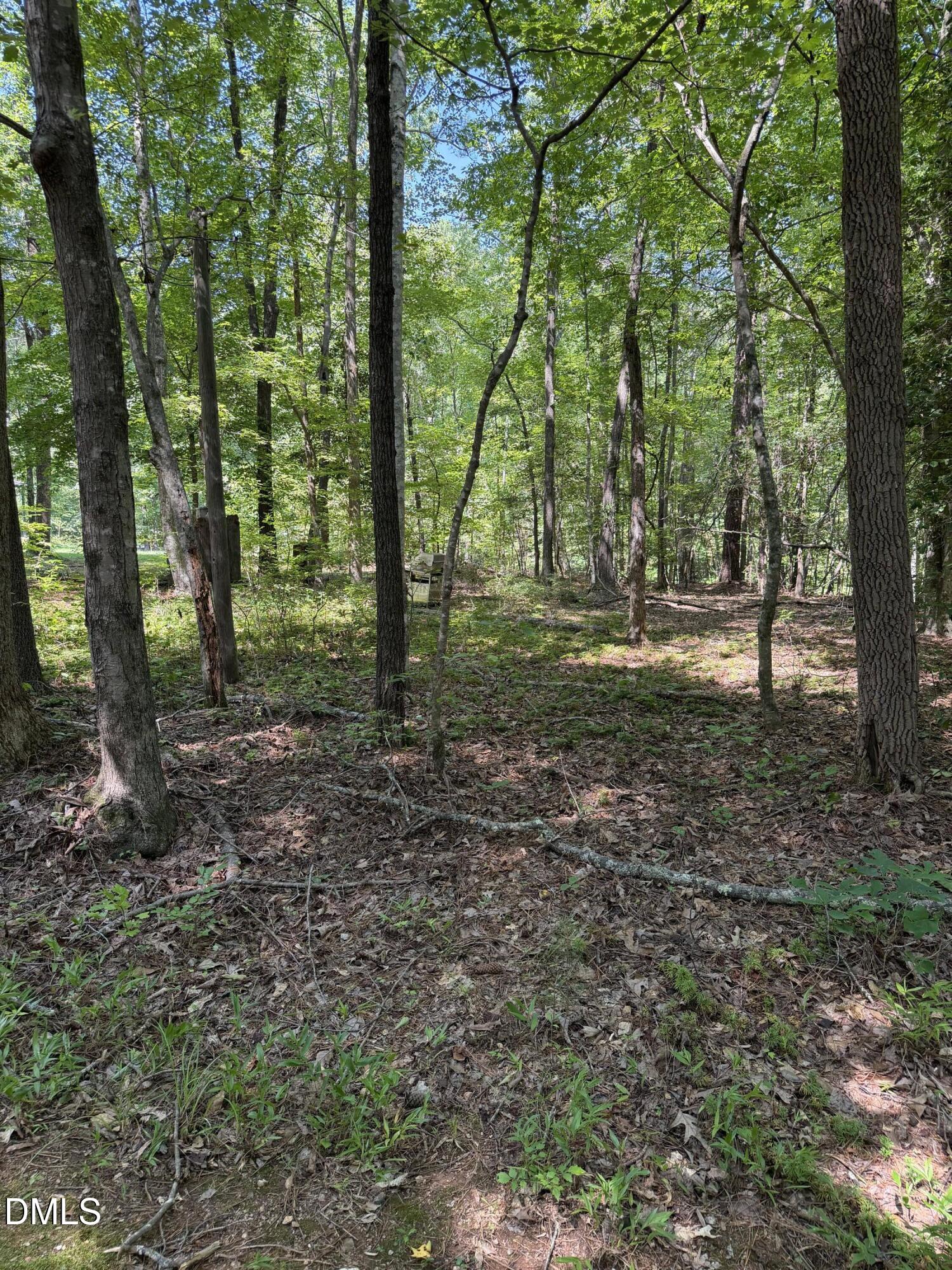 153 Omaha Drive, Louisburg, NC 27549