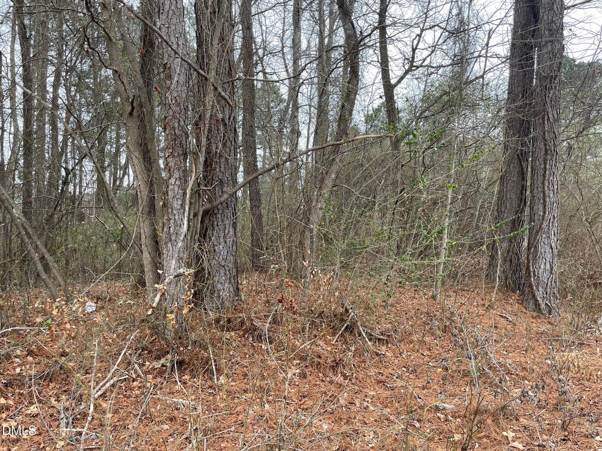 70 Wilson, Bunnlevel, NC 28323