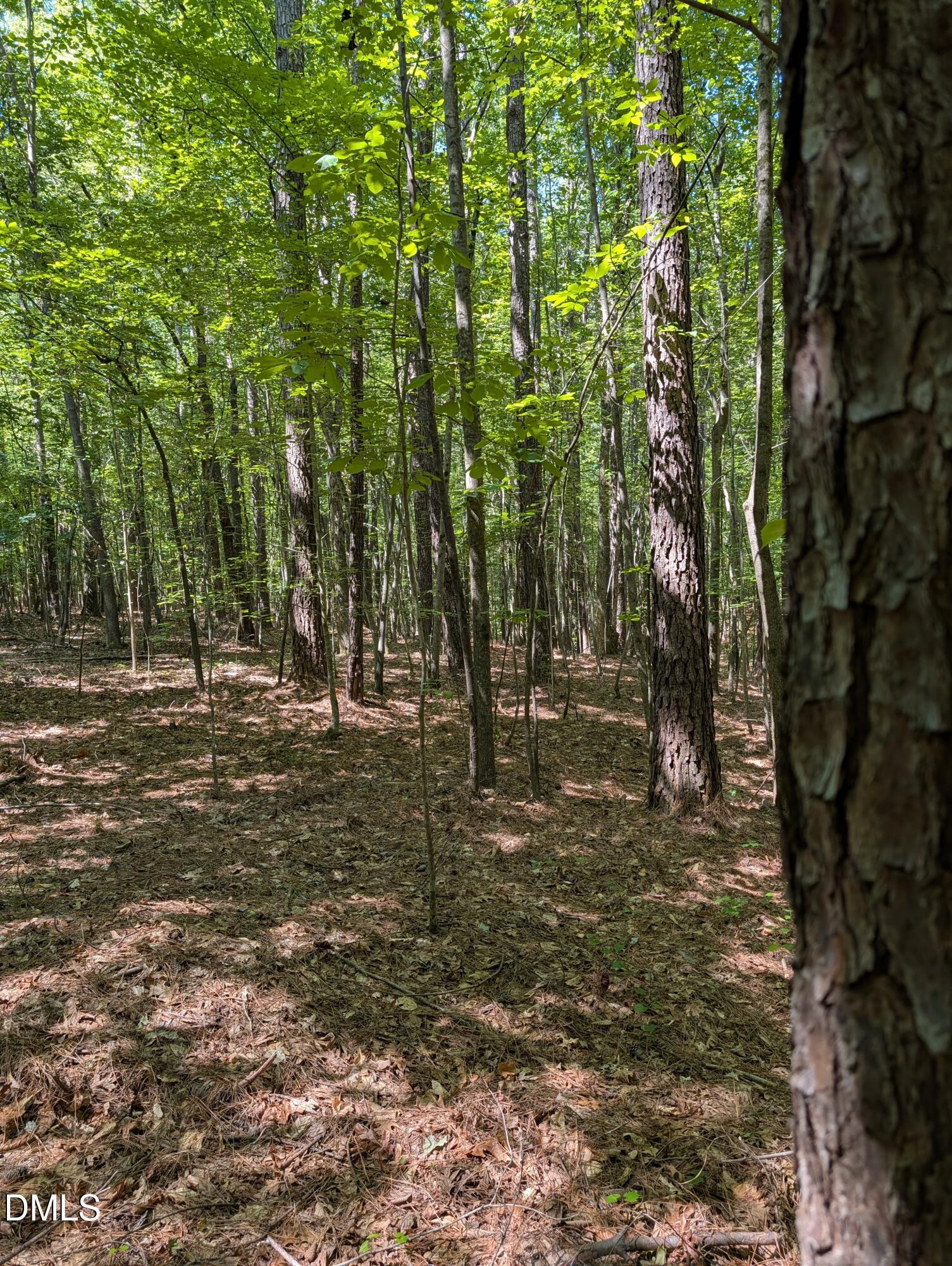 Tract B2 Thelma Road, Roanoke Rapids, NC 27870