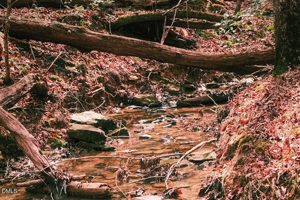 000 Ferguson Road, Chapel Hill, NC 27516