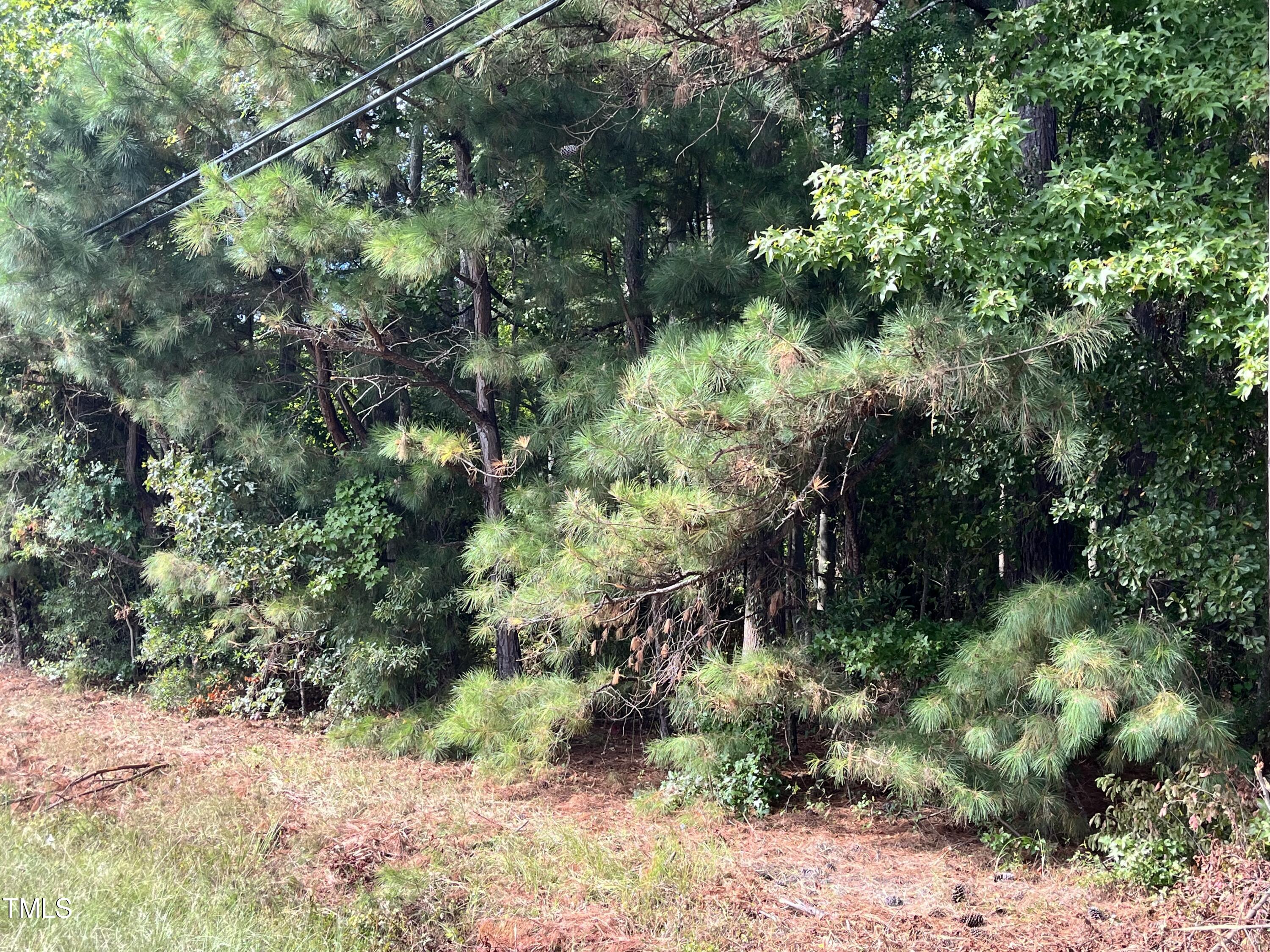 Tbd Cokey Road, Rocky Mount, NC 27801