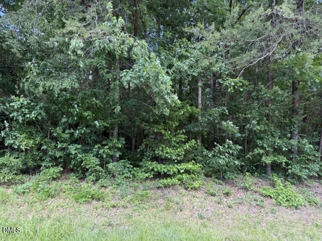 3415 Mt Willing Road, Efland, NC 27243