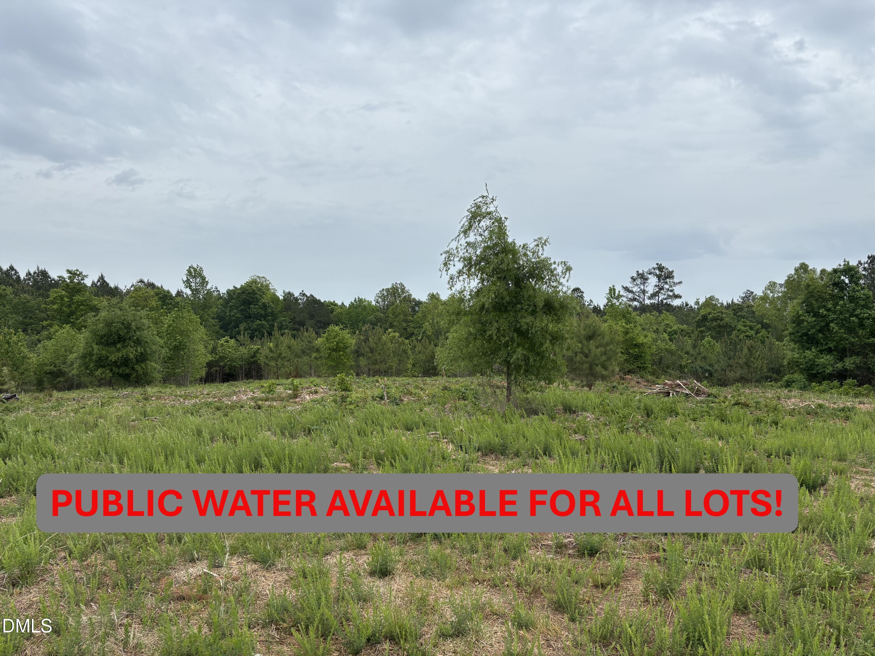 0 Burchette Road Lot 1, Manson, NC 27553