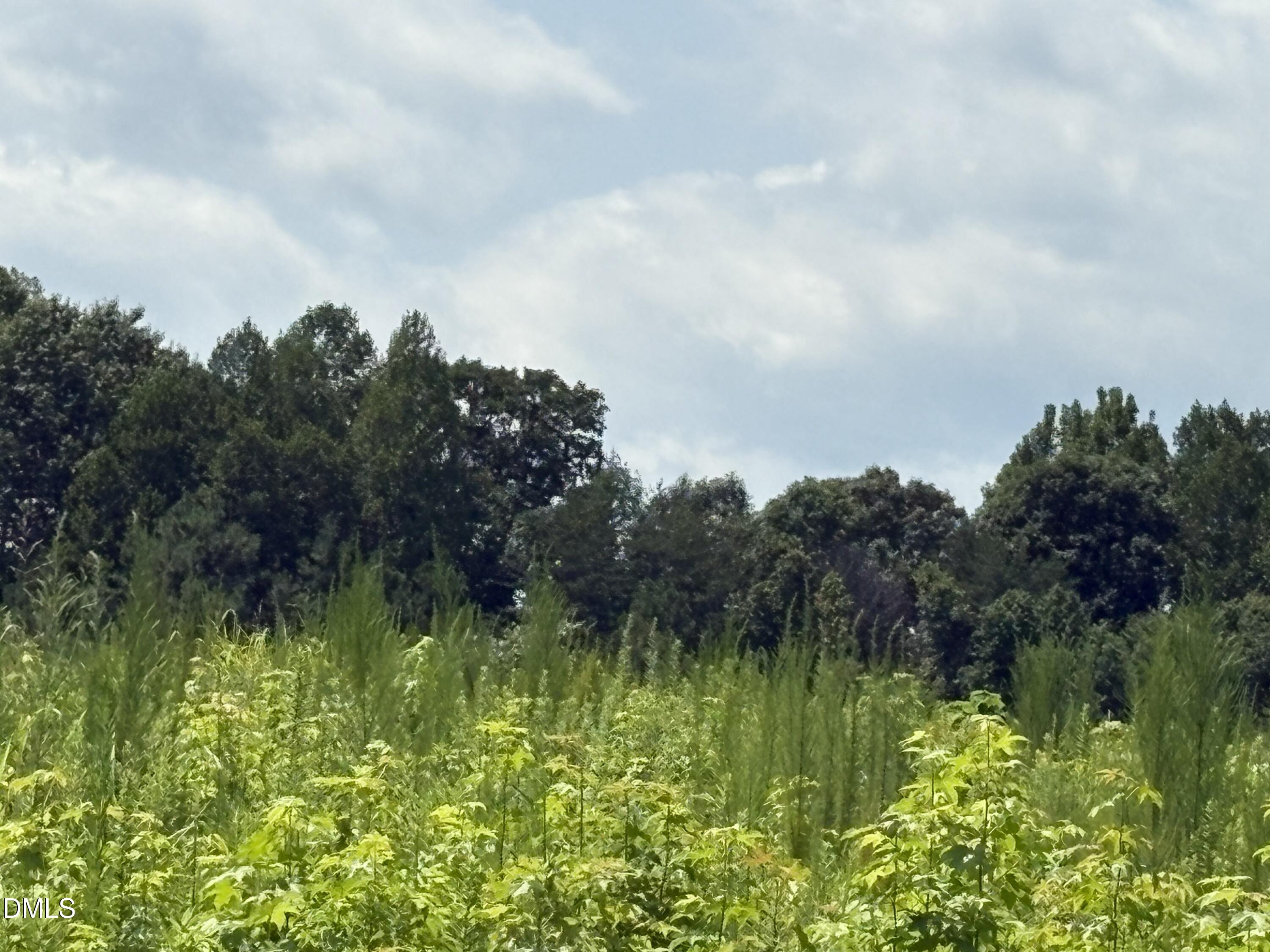 Lot 2 Sams Road, Mebane, NC 27302