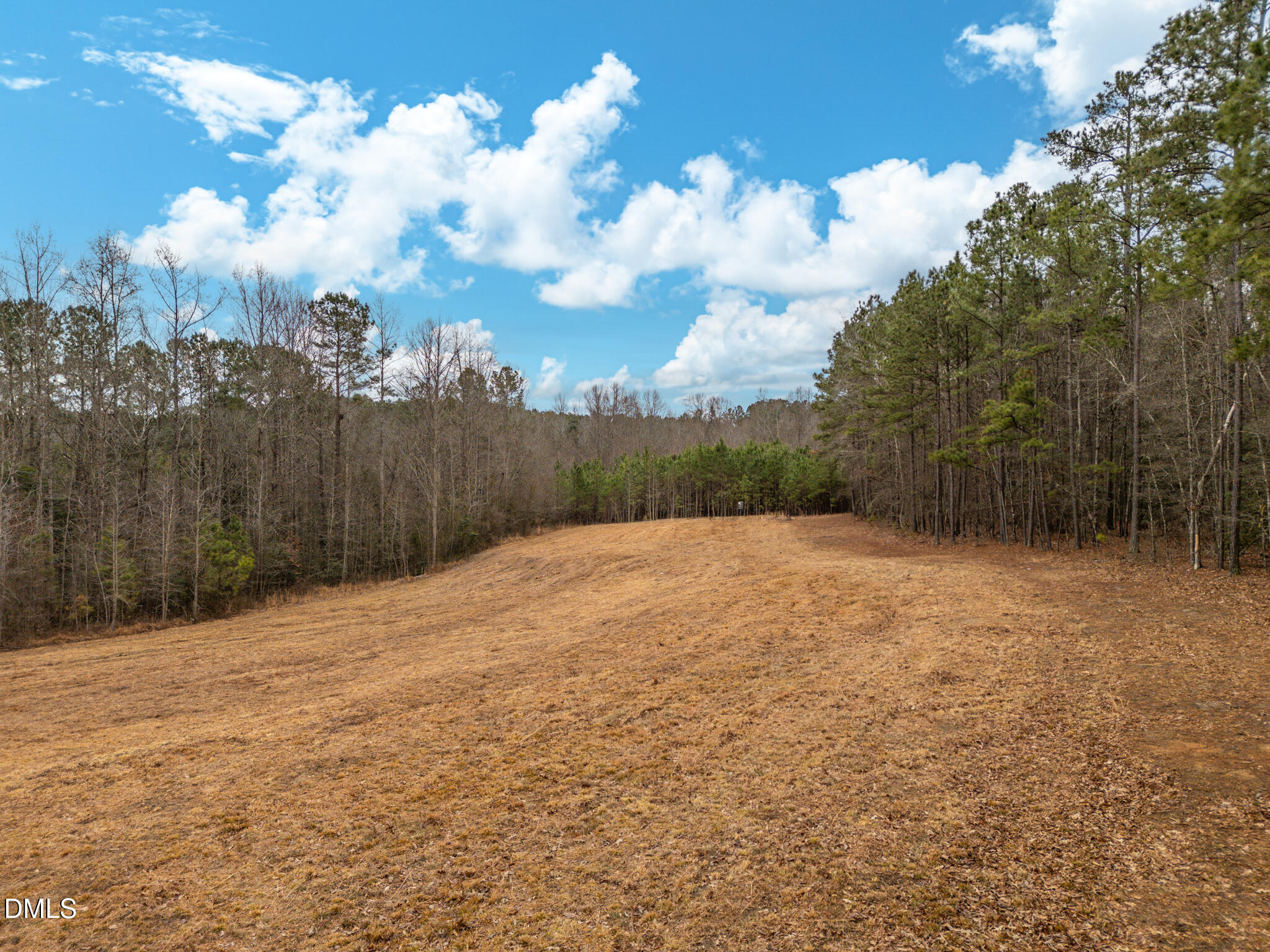 2151 Pace Farm Road, Wendell, NC 27591