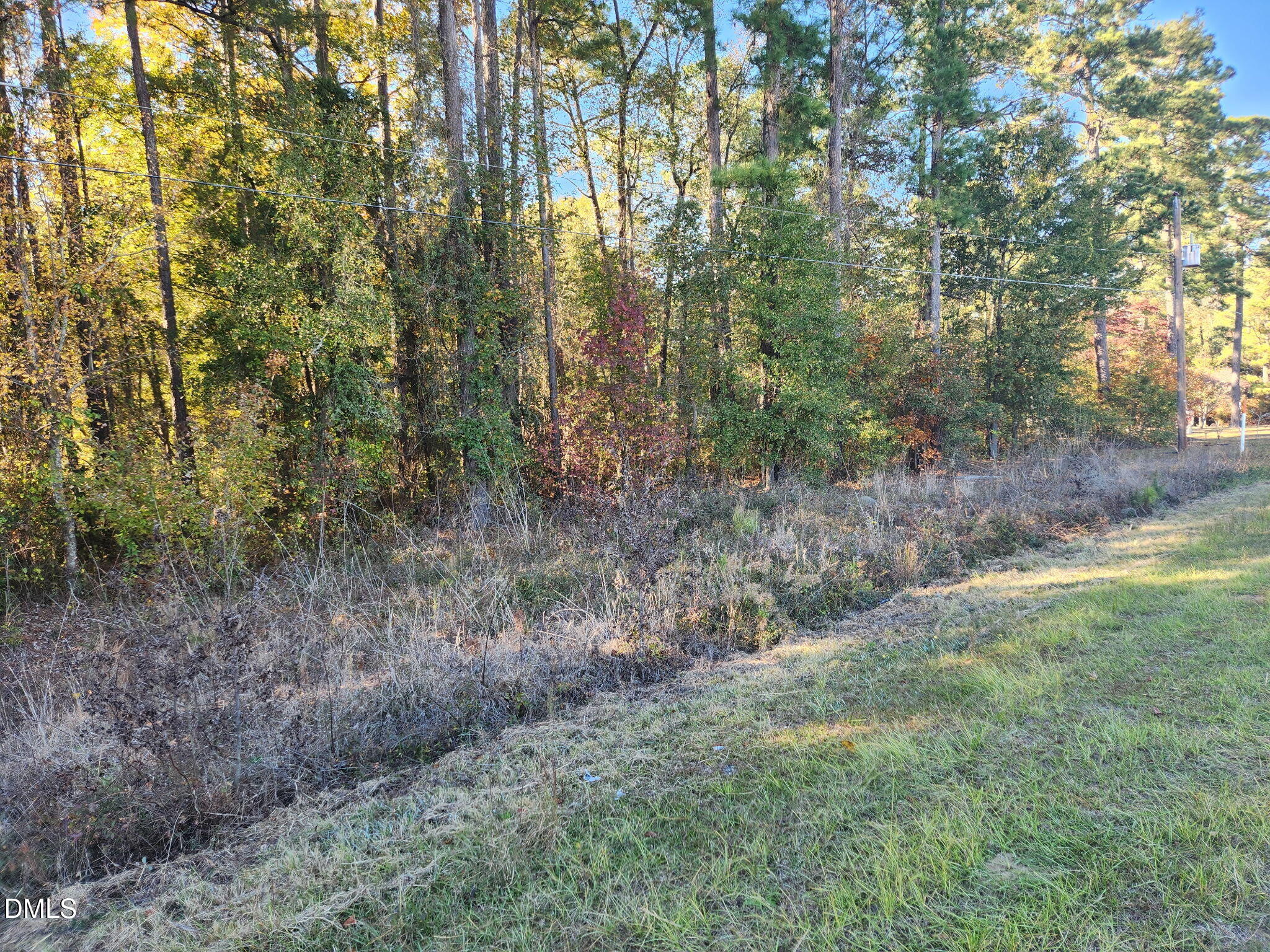 0 Cedar Grove Church Road, St. Pauls, NC 28384