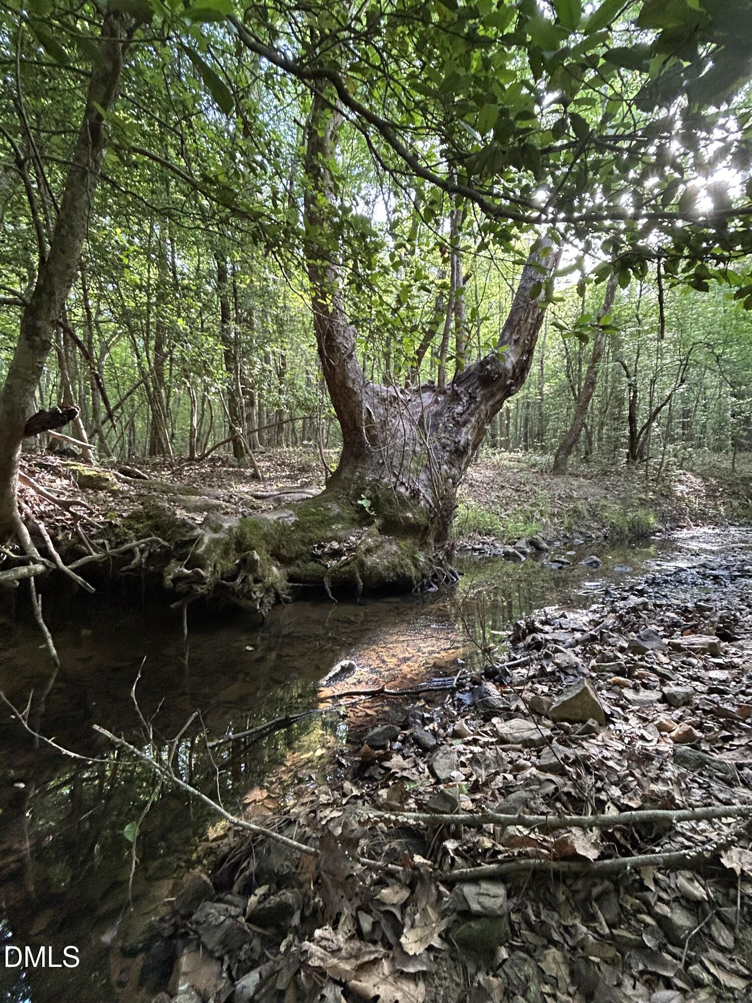 0 Beaver Dam Road, Creedmoor, NC 27522