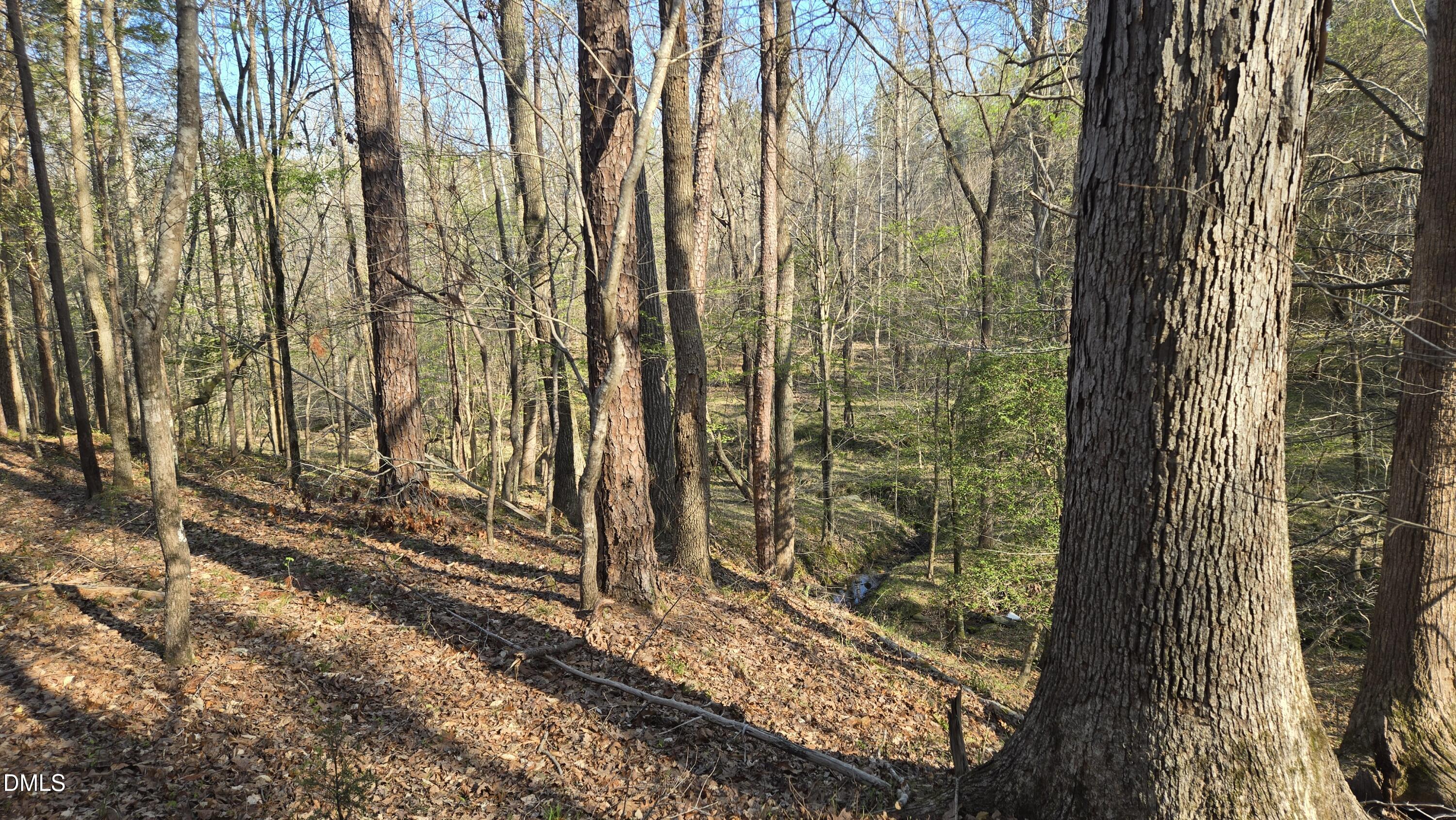 00 Woody, Oxford, NC 27565