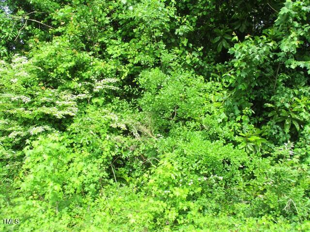0 Airport Road, Garland, NC 28441