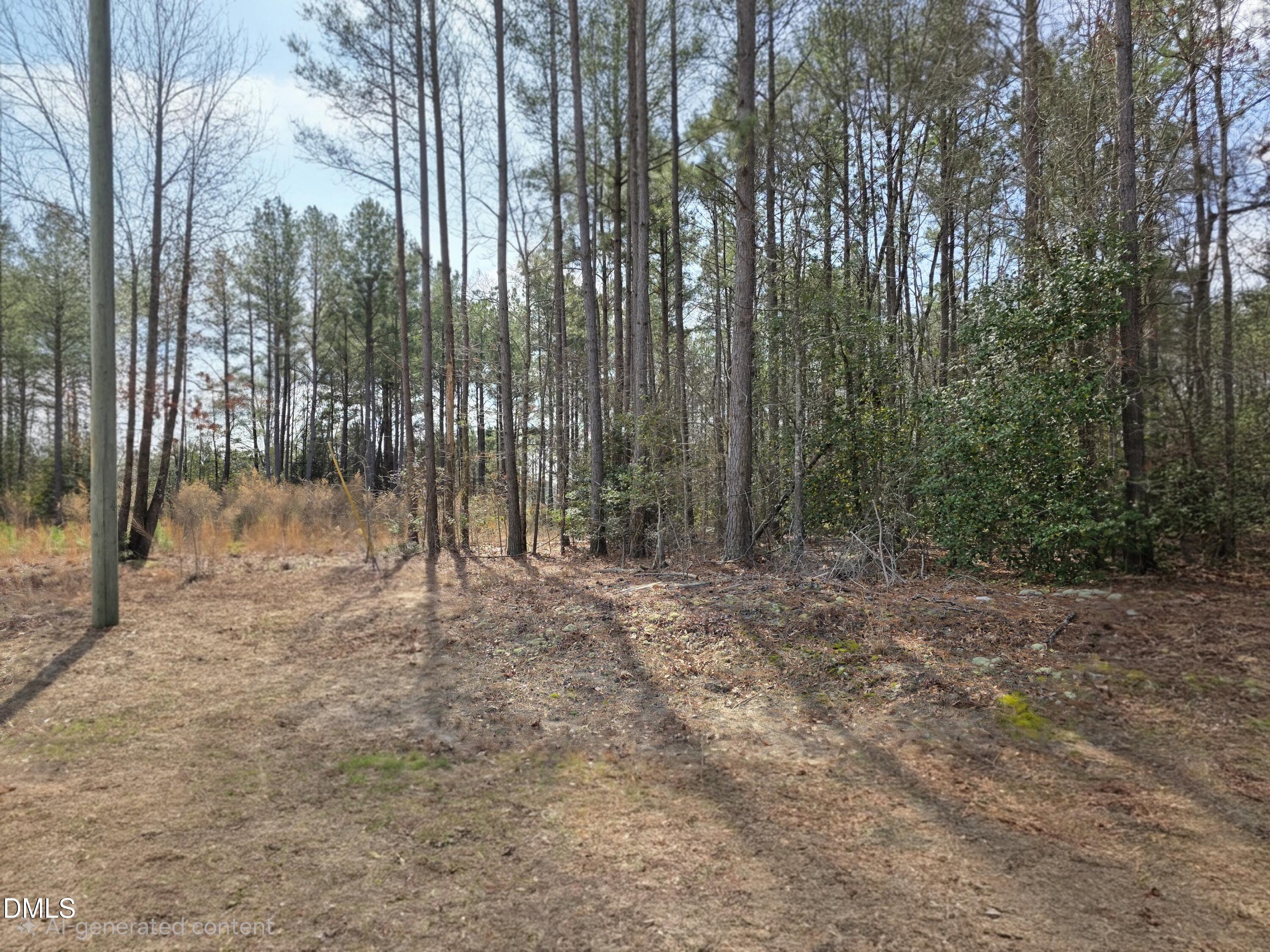 275 Raynor Sands Drive, Dunn, NC 28334