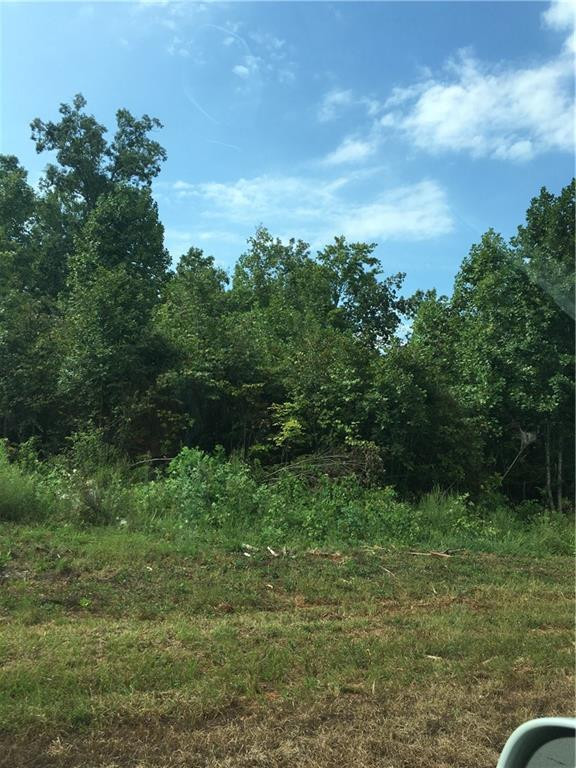 0 Oscar Gammon Road, Mebane, NC 27302