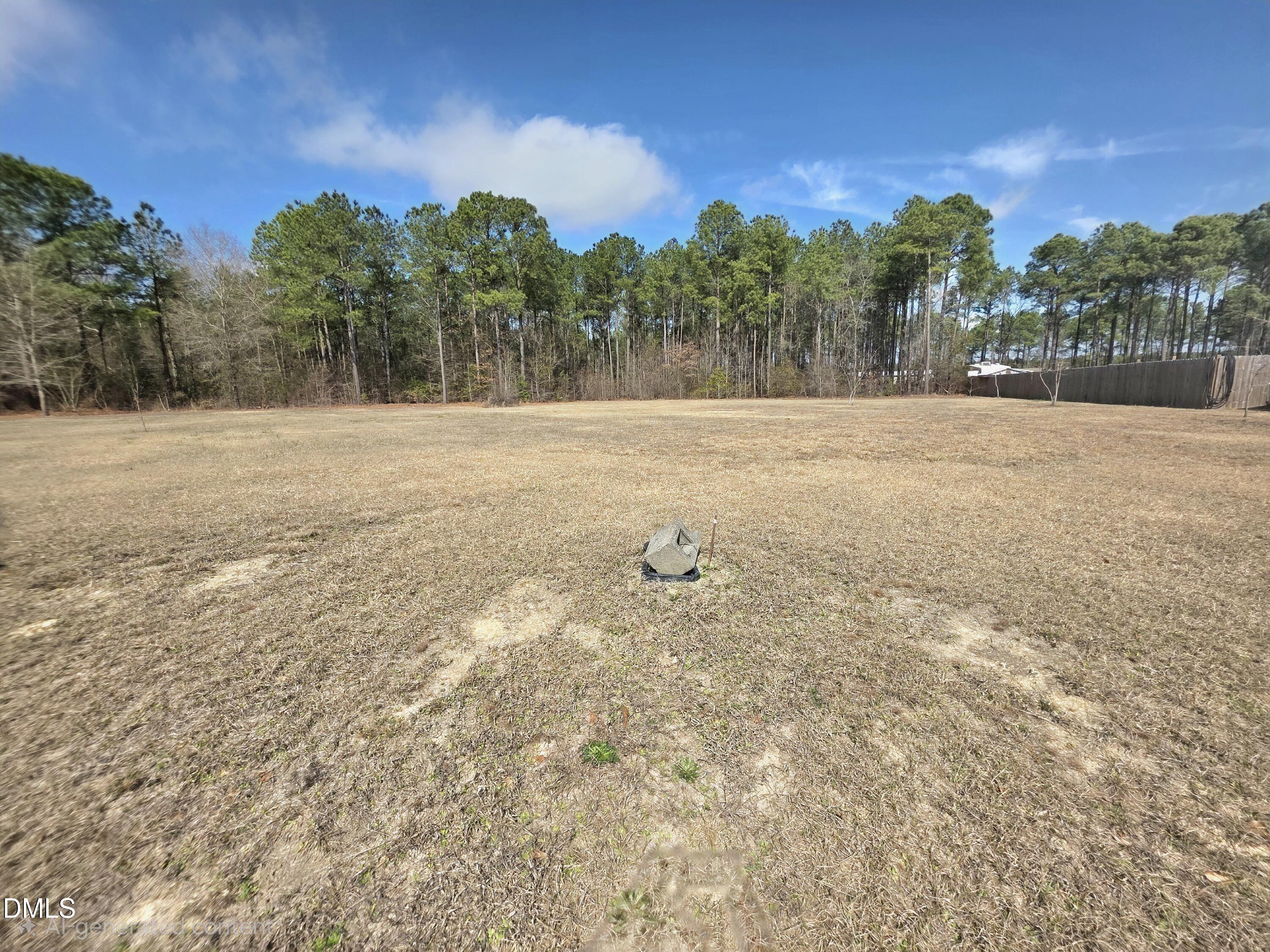 290 Raynor Sands Drive, Dunn, NC 28334
