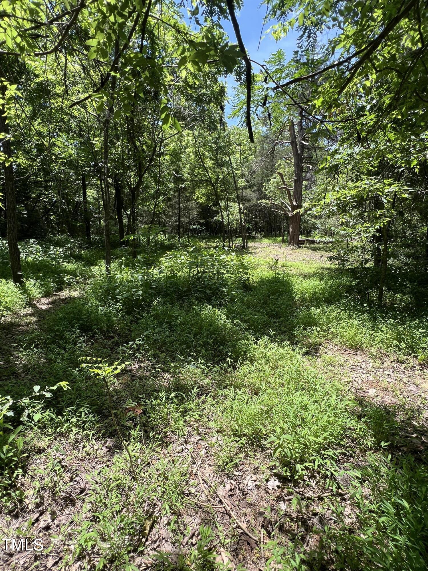 2201 Moorefields Rd, Hillsborough, NC 27278