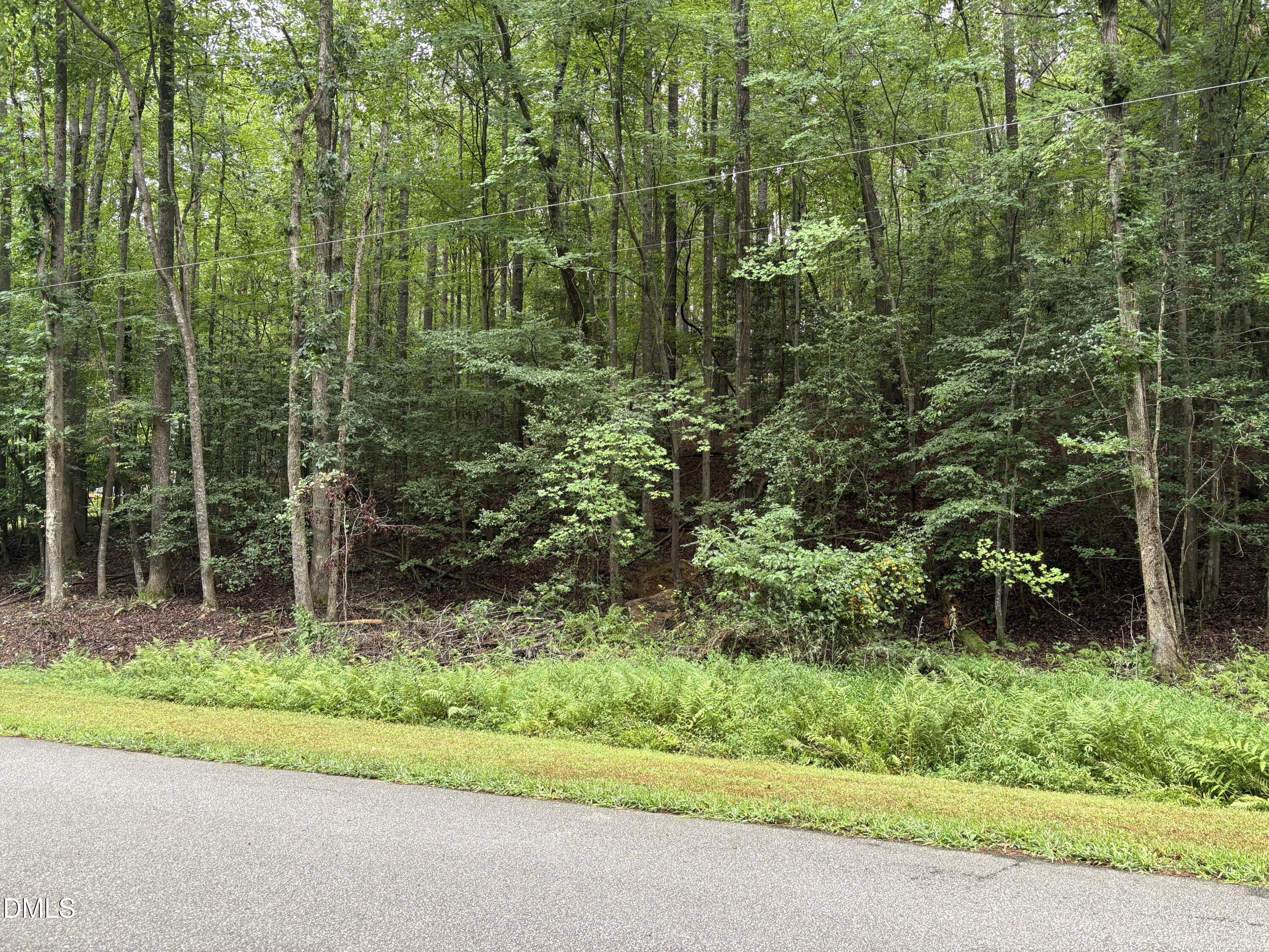 118 Souix Drive, Louisburg, NC 27549