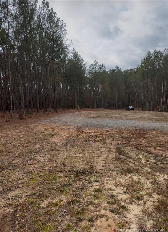 183 Thistlecone Lane, Sanford, NC 27330