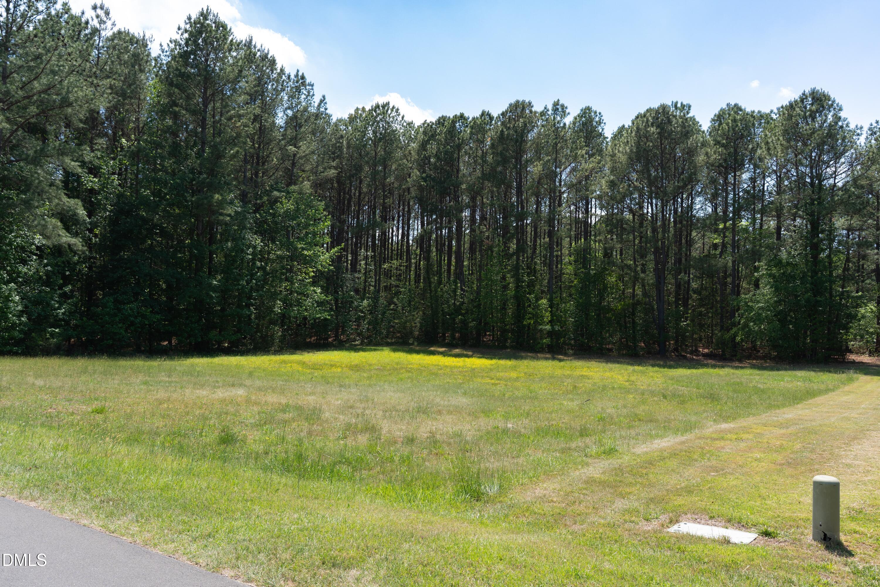 9807 Straightaway Lane, Bahama, NC 27503