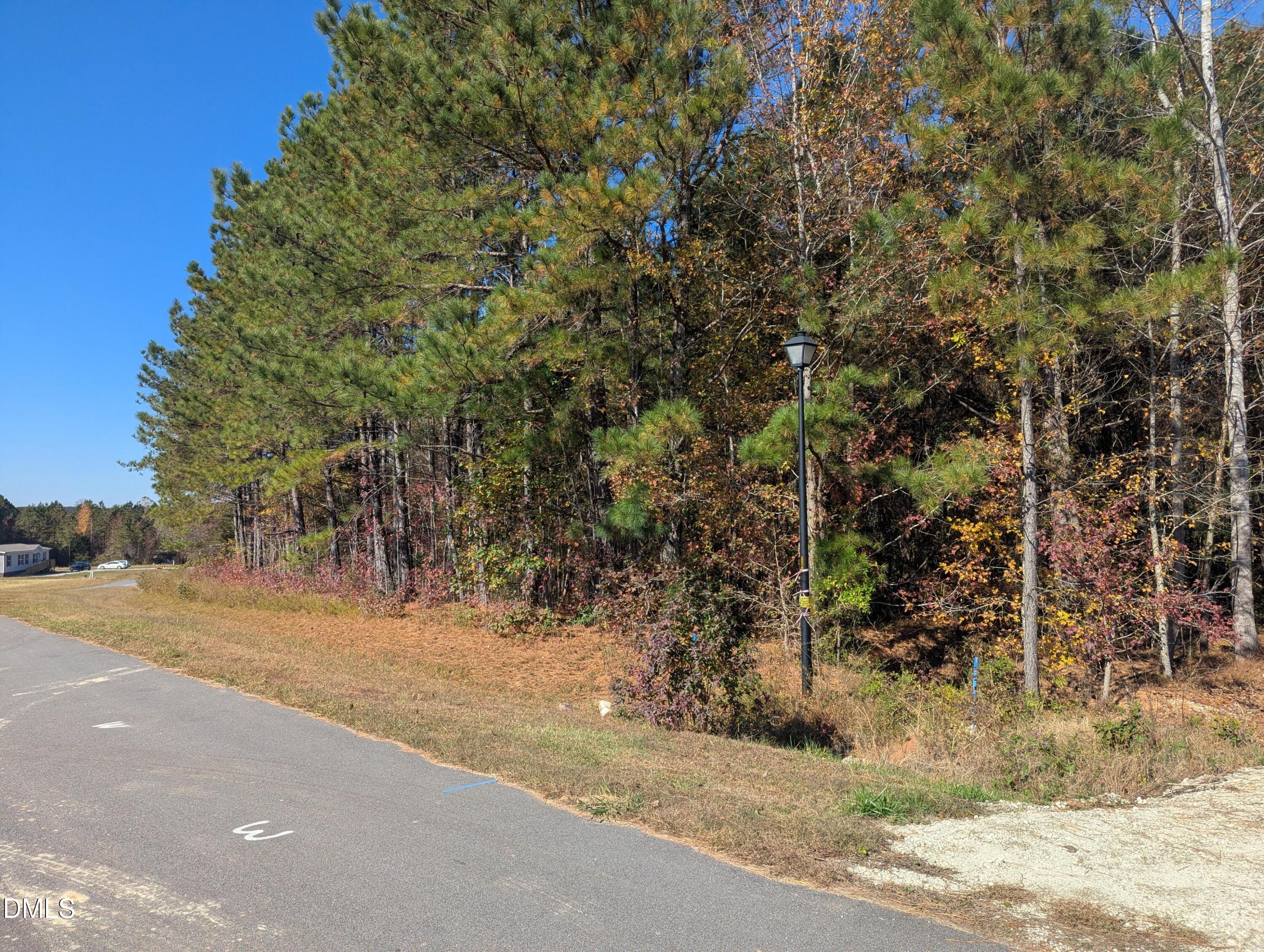 0 Sandy Plains Lane, Warrenton, NC 27589