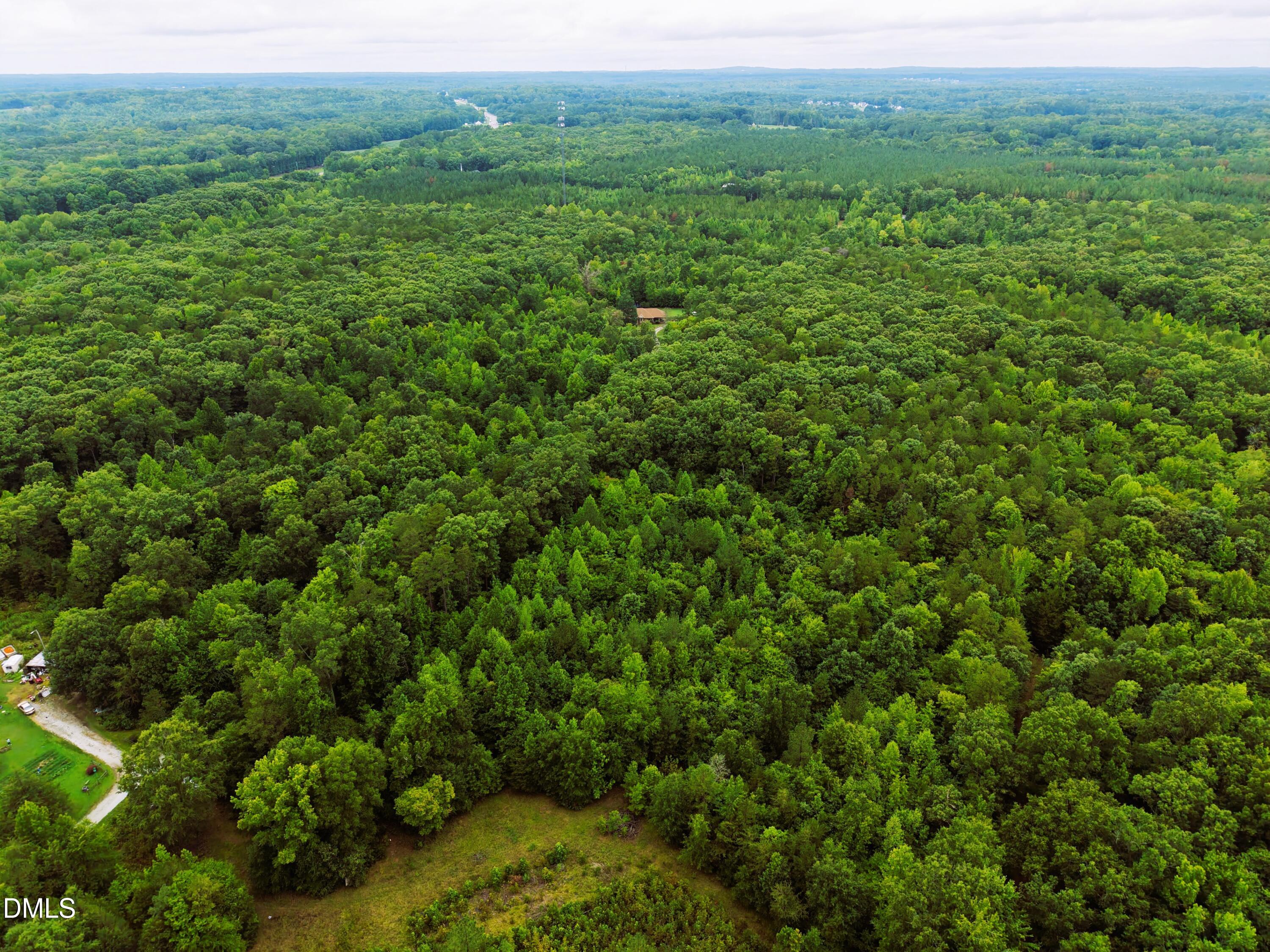 0 Weldon Painter Road, Timberlake, NC 27583