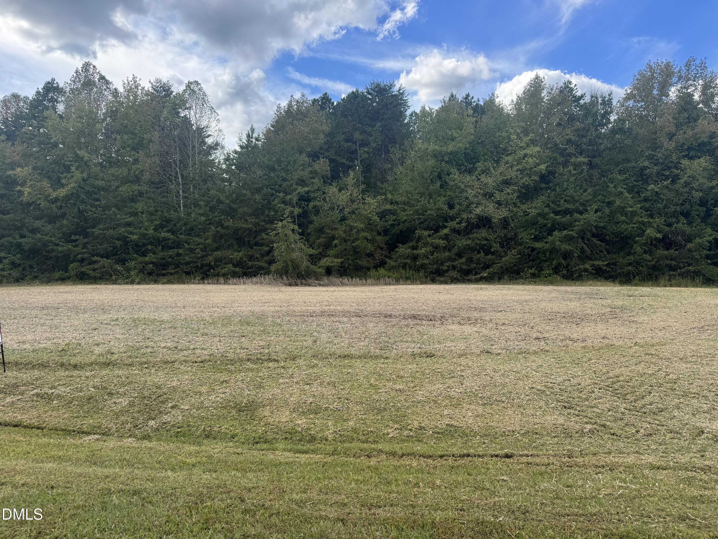 00 New Mayo Drive Drive, Roxboro, NC 27574
