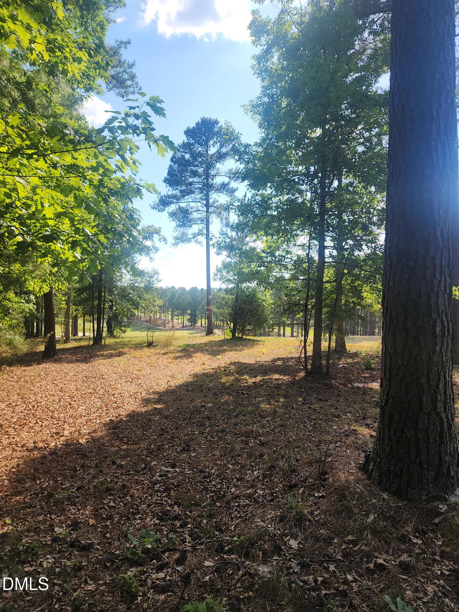 65 High Ridge Lane, Pittsboro, NC 27312