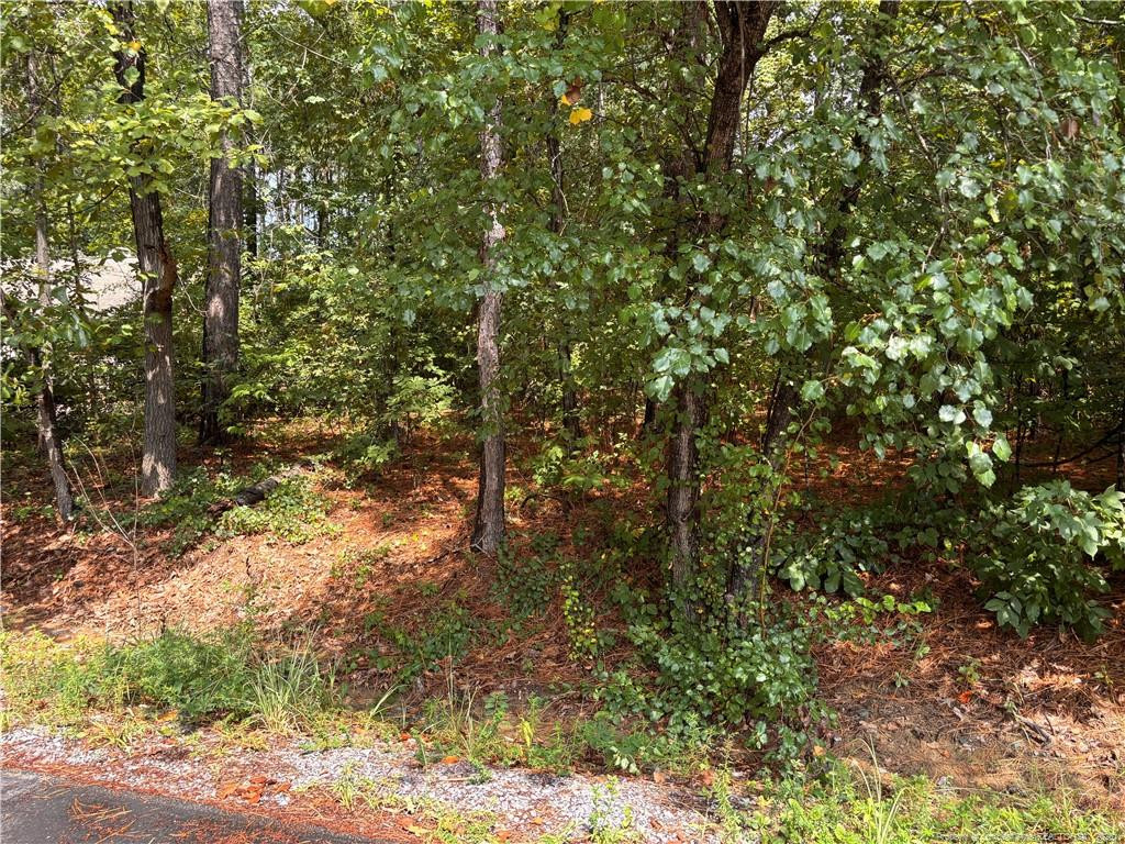 668 CHELSEA Drive, Sanford, NC 27332