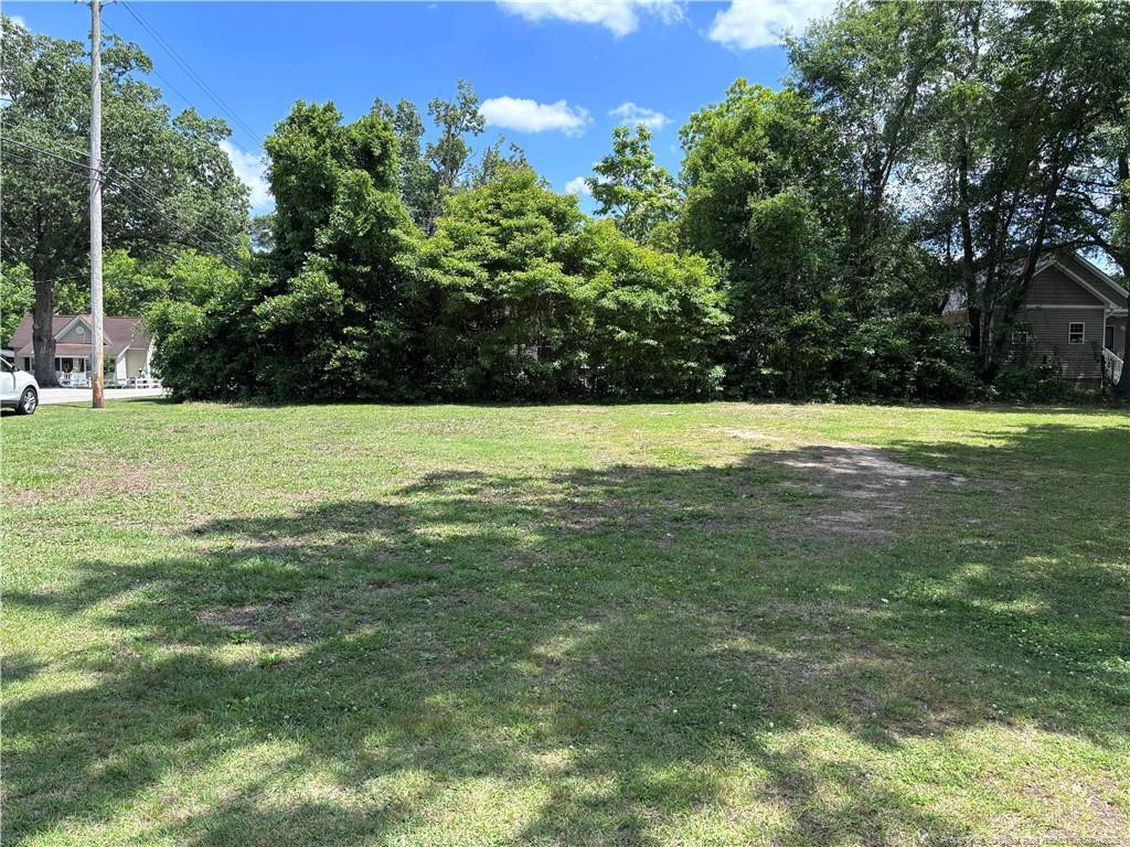 162 Coleman Street, Lumberton, NC 28358