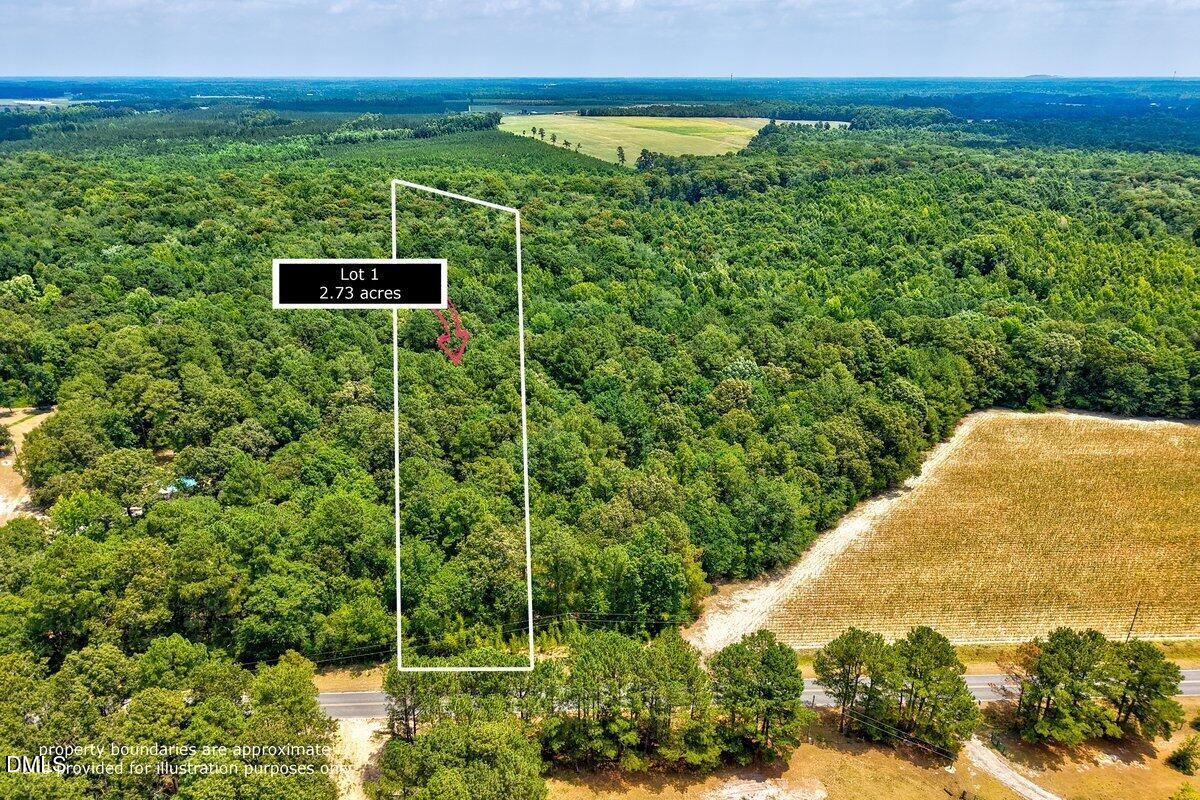 Lot 1 Ruth Vinson Road, Autryville, NC 28318