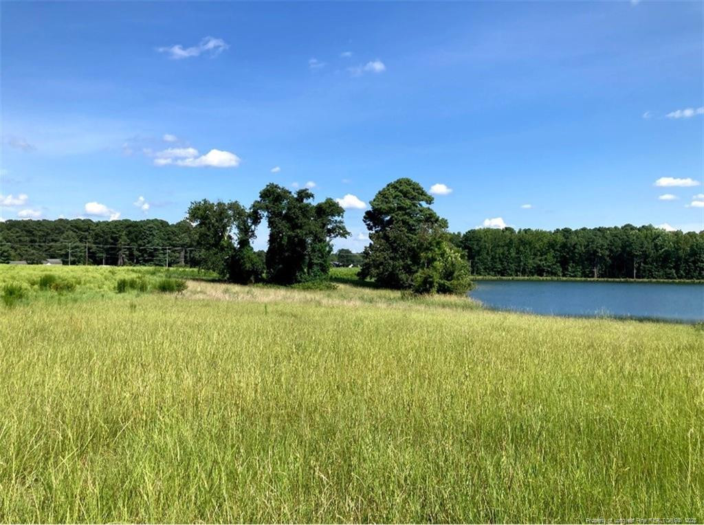 0 Castleberry Road, Sanford, NC 27332