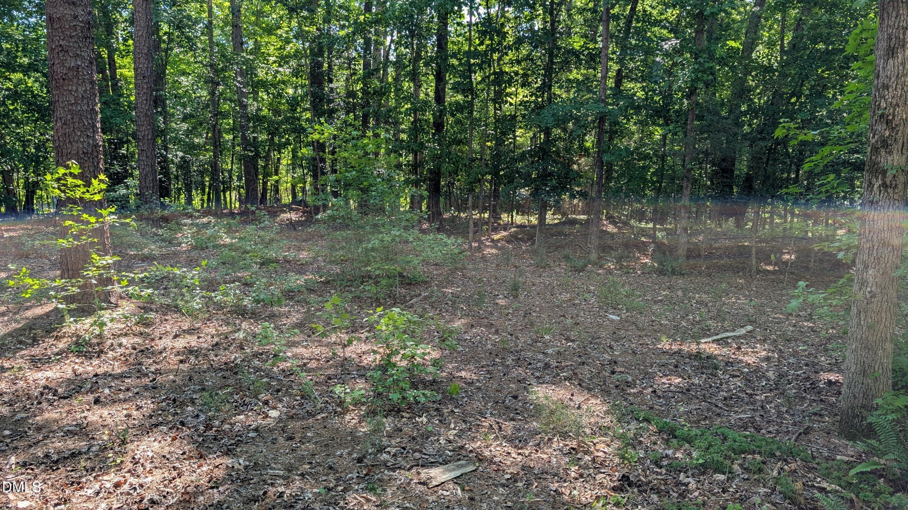2069 Lot B Bowen Road, Rougemont, NC 27572