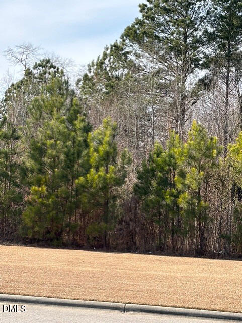 0 Saint Matthews Road, Erwin, NC 28339