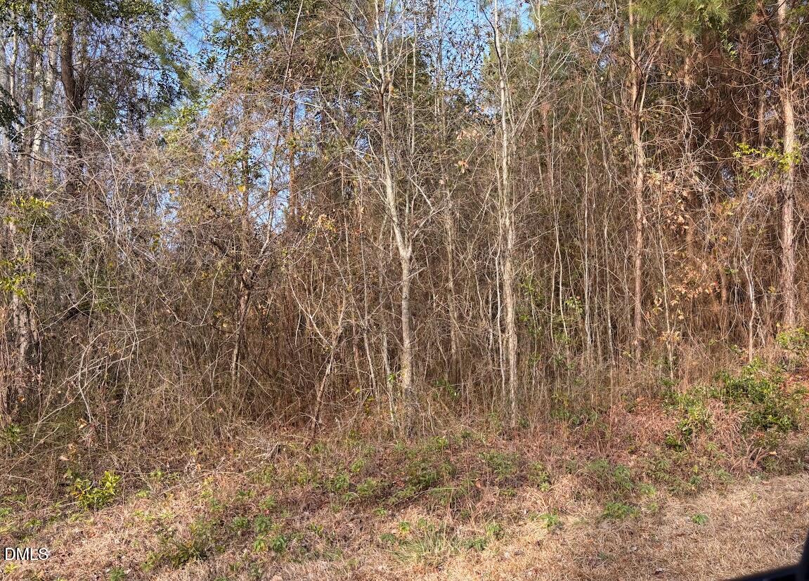 0 Watson Grave Yard Road, Clarkton, NC 28433
