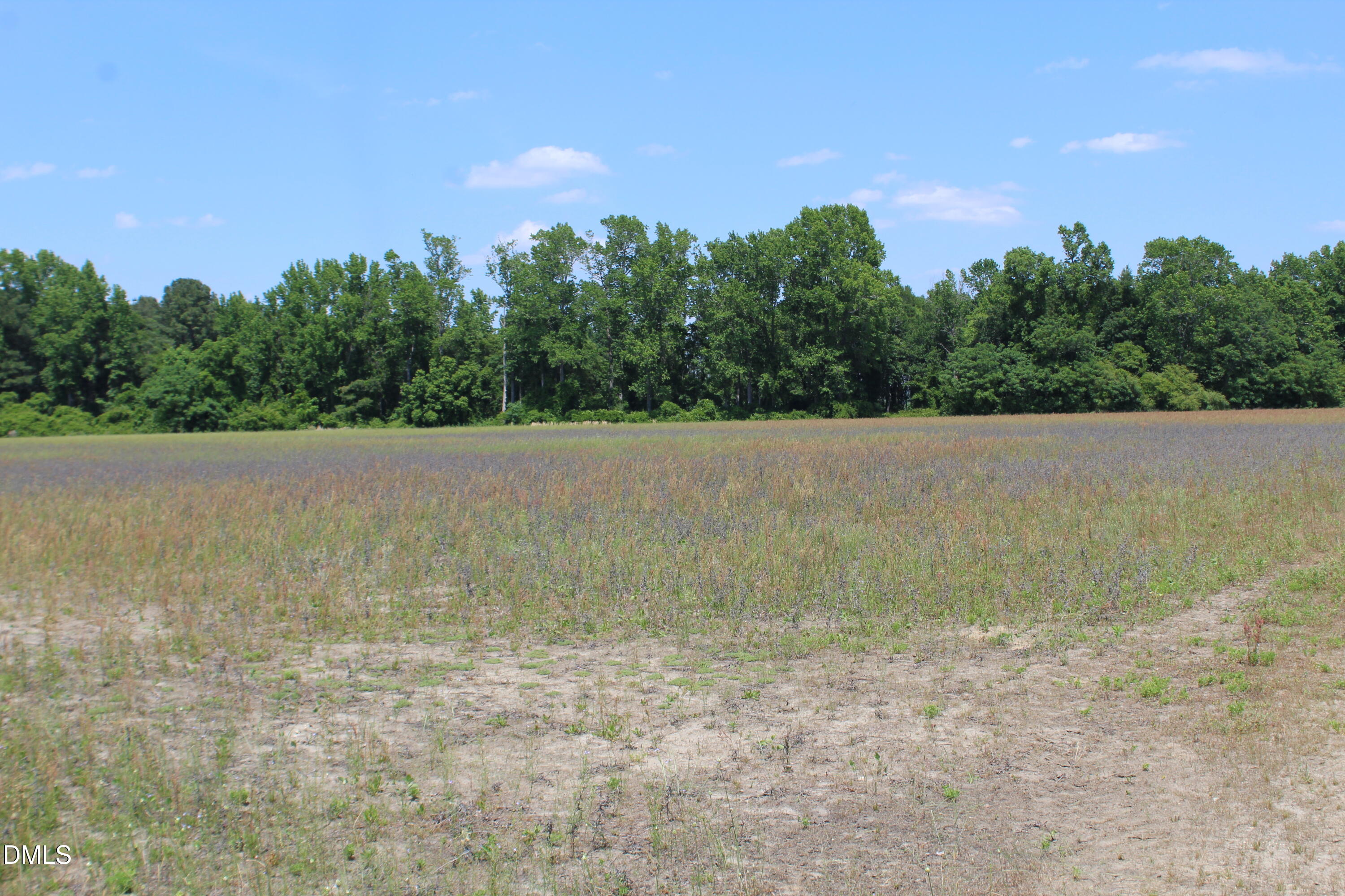 0 Lees Chapel Church Road, Dunn, NC 28334