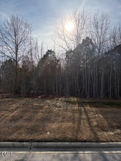 590 E Jackson Boulevard, Erwin, NC 28339