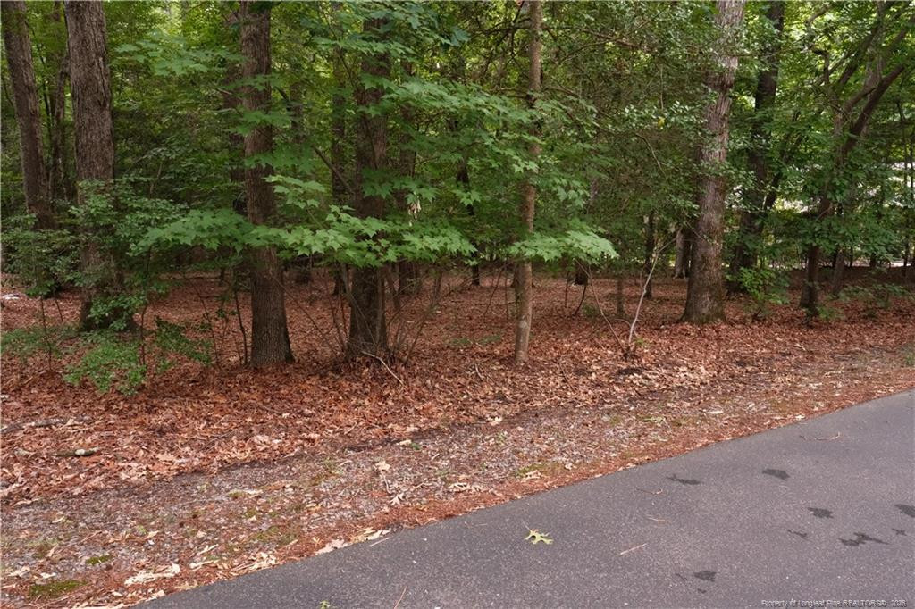 1146 Deerfoot Trail, Sanford, NC 27332